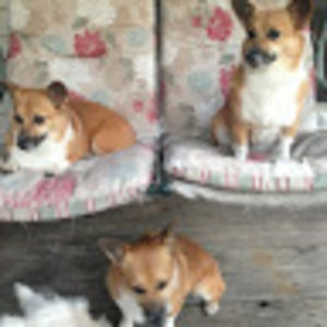 Meet your Posher, Staci